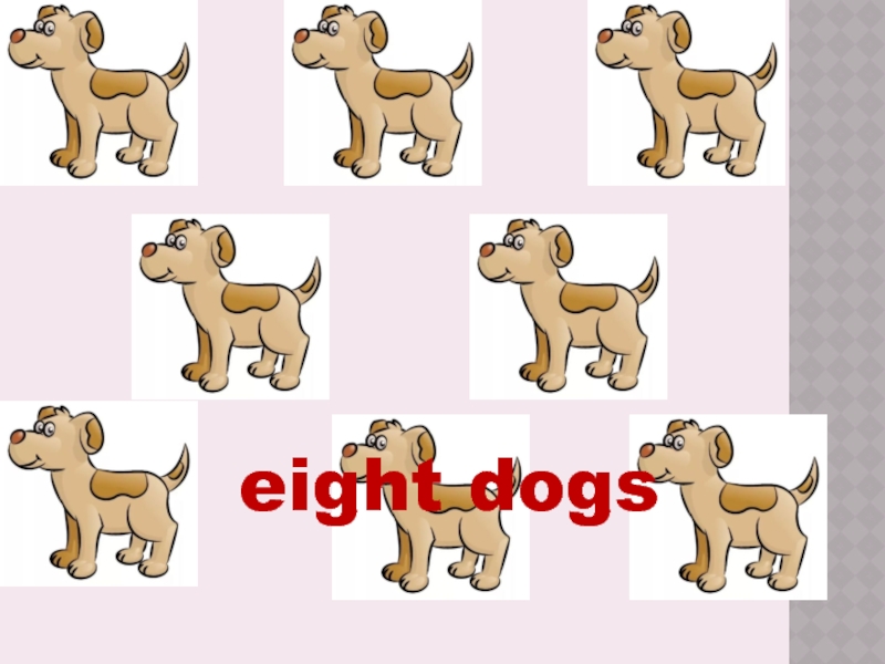 eight dogs