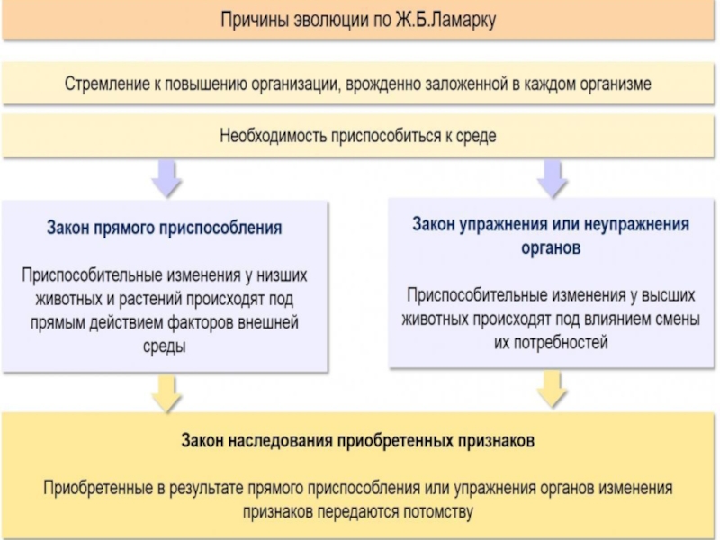 Эволюция групп интересов схема