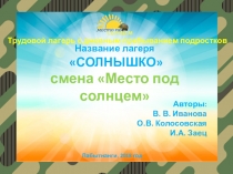 Презентация лагеря с дневным пребыванием детей Место под солнцем