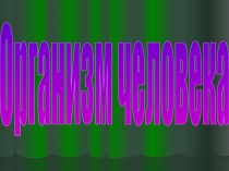 Воспитательный час по формированию здорового образа жизни:Организм человека