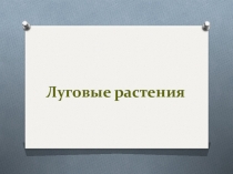 Презентация по окружающему миру на тему Луговые растения (3 класс)