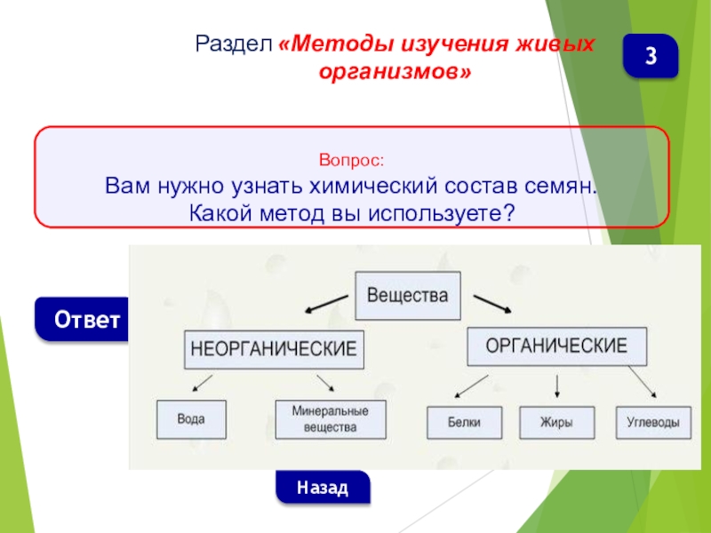 Обобщающий урок по биологии 5 класс презентация