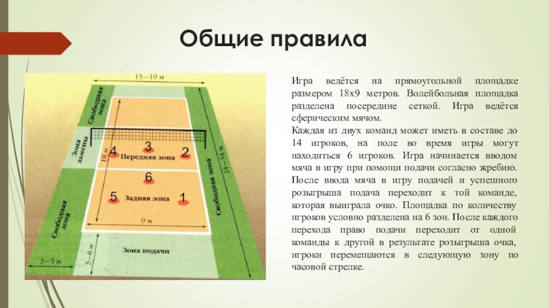 Сколько игровых позиций на волейбольной площадке