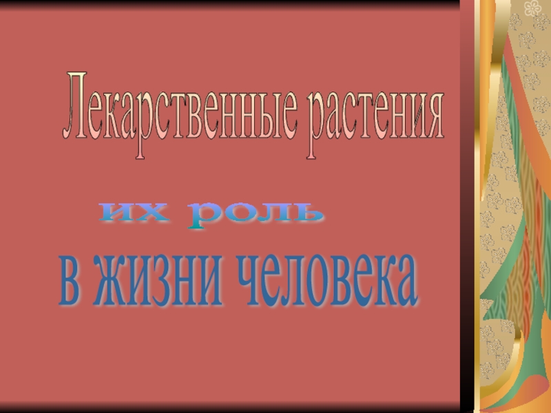 Презентация по факультативным занятиям Лекарственные растения