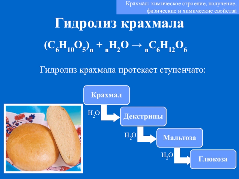 Напишите схему гидролиза крахмала