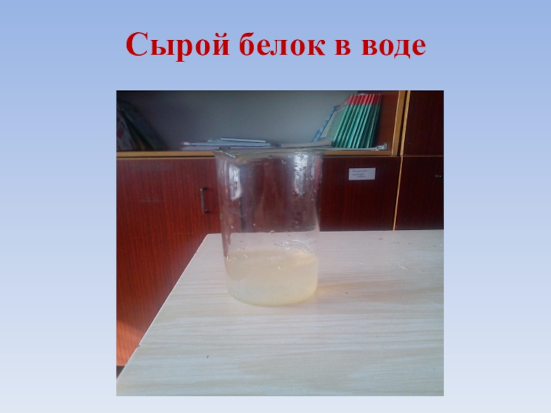 Сырой белок. Растворение белков в воде. Яичный белок в воде. Белок растворим в воде. Раствор яичного белка в воде.