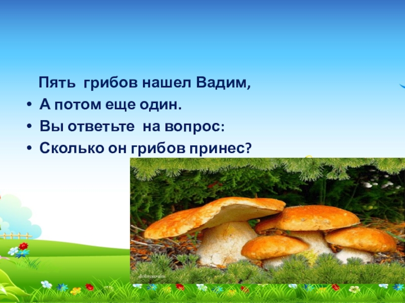 Грибной 5. Пять грибов. Пять грибов нашёл Вадим. Принес грибов. Пять грибочков.