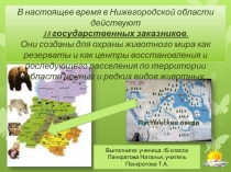 Презентация по географии Нижегородской области Пустынские озера
