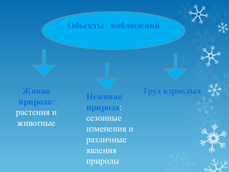 Неживая природа явления и объекты неживой природы. Явления живой природы зимой. Сезонные явления живой и неживой природы. Сезонные явления в неживой природе. Наблюдения в живой природе зимой.