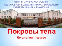 Презентация для проведения урока биологии на тему Покровы тела (7 класс)