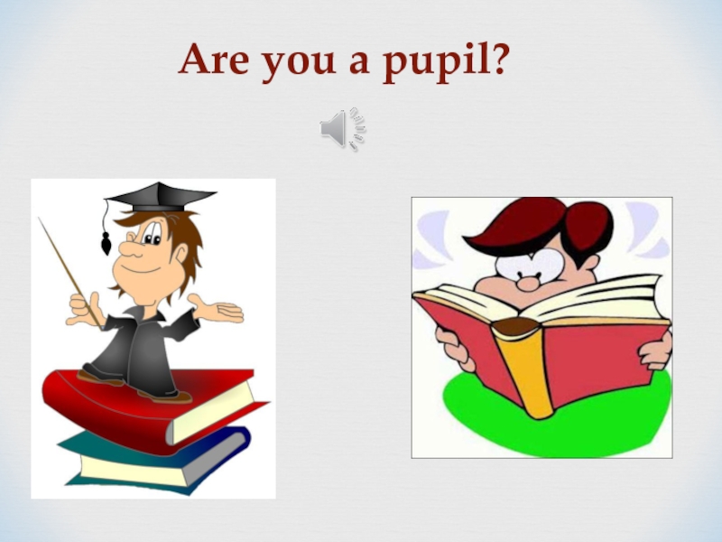 Are you a pupil?