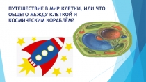 Презентация  Путешествие в мир клетки, или что общего между клеткой и космическим кораблём
