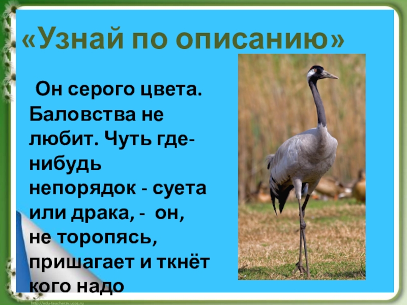 Где чуть чуть. Он серого цвета баловства не любит. Узнай героя по описанию он серого цвета баловства не любит. Он серого цвета баловства не любит из какого произведения. Он серого цвета баловства не любит чуть где-нибудь непорядок суета.