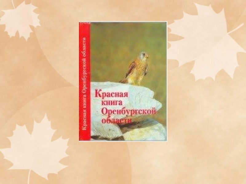 Проект на тему красная книга оренбургской области