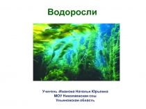 Презентация к уроку биологии Водоросли 5 класс