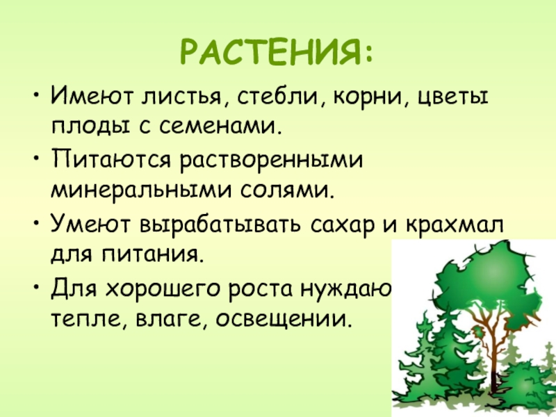 Растения окружающий мир презентация. Презентация растения 3 класс. Мир растений 3 класс. Растения 3 класс окружающий мир презентация. Проект о растениях 3 класс по окружающему миру.