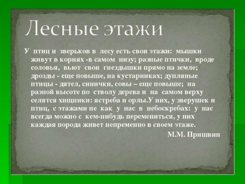 Мы наблюдали в лесу жизнь дупляных птиц. У птиц и зверьков в лесу есть свои этажи. Жизнь леса 4 класс. Законы Лесной жизни. Законы Лесной жизни 3 класс.