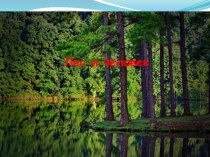 Презентация к занятию по окружающему миру  Лес и человек.