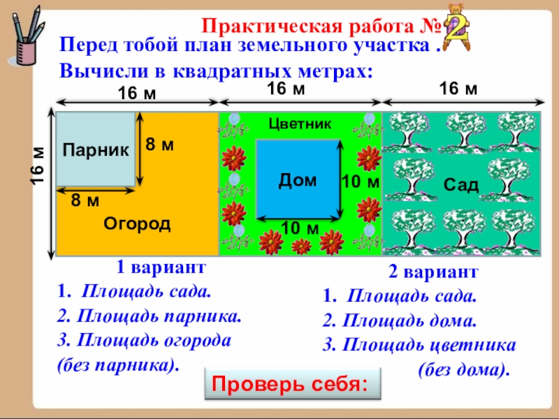 Начерти план грядки в удобном масштабе