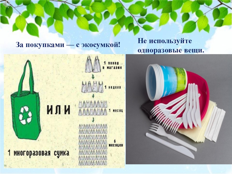 Проект экосумка презентация