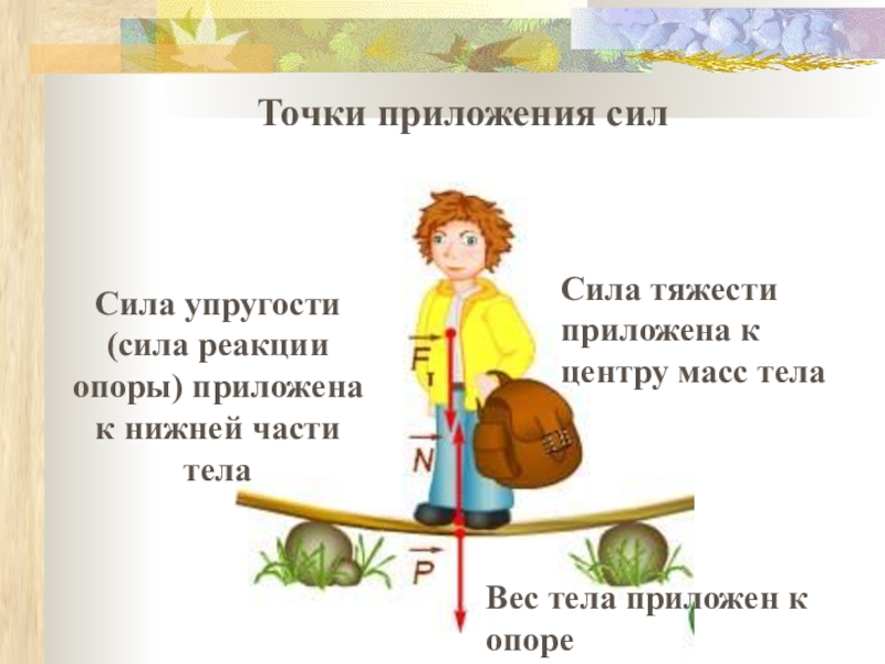 Сила тяжести точка приложения. Точка приложения силы. Точка приложения силы упругости. Точки приложения силы примеры. Точка приложения силы тяжести.