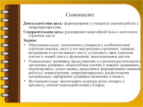 Самоанализ к уроку Клеточное строение листа