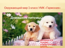 Презентация по окружающему миру. (1 класс)