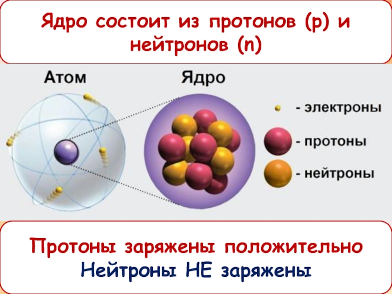 Какое состояние атома называется основным. Строение ядра атома. Ядро состоит из протонов и нейтронов.