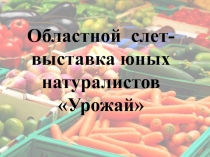 Презентация: Областной смотр-конкурс Урожай