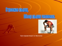 Презентация по биологии на тему Строение мышц 9 класс