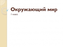 Презентация к уроку окружающего мира по теме Все профессии важны