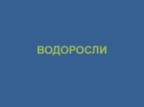 Презентация по биологии на тему ВОДОРОСЛИ