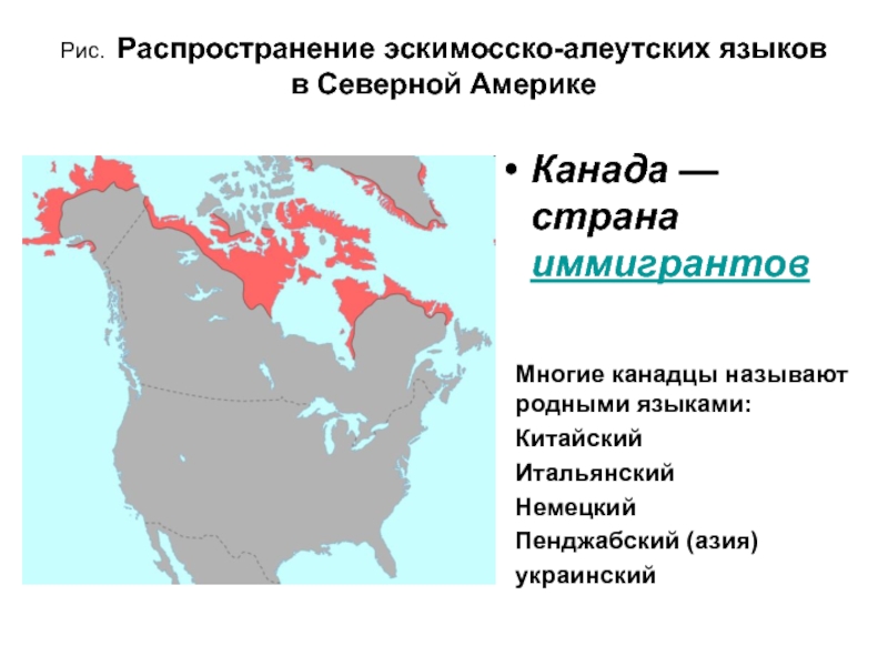 Доклад по теме Эскимосско-алеутские языки