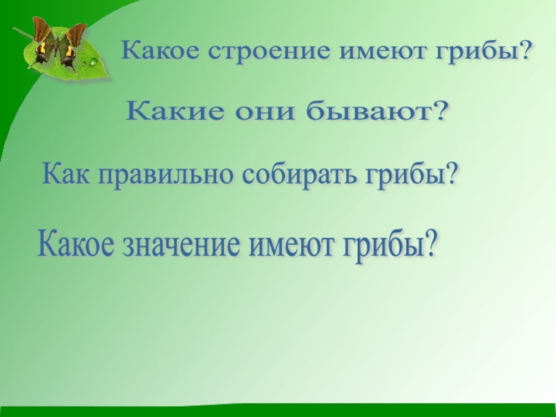 Какое значение имеют грибы. Какое значение имеют грибы 3 класс.