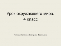 Презентация по окружающему миру на тему Свойства воздуха (4 класс)