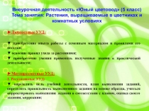 Презентация по внеурочной деятельности для 5-6 классов (вводное занятие)