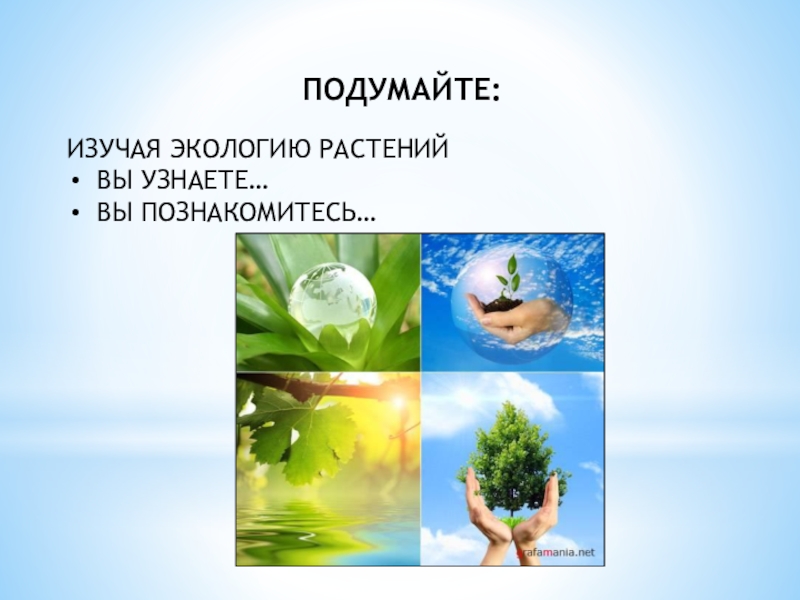 Изучение экологии. Что изучает экология. Что изучает экология растений. Экология растений презентация. Что изучает экология кратко.