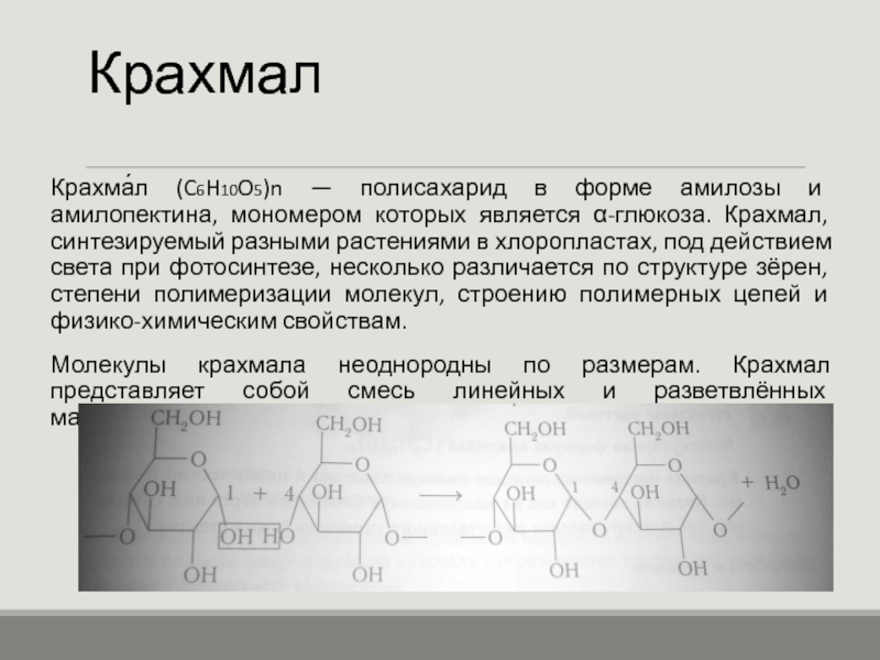 Презентация по химии 10 класс полисахариды