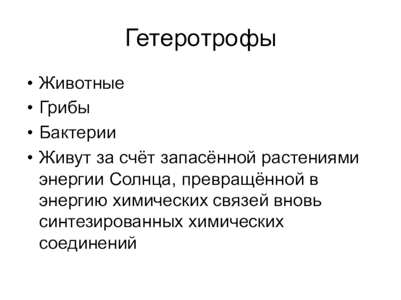 К гетеротрофам относятся. Гетеротрофы это. Животные гетеротрофы. Гетеротрофы голозои.