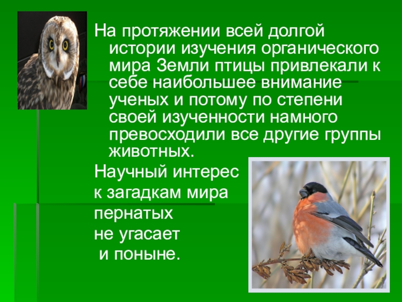 Осмотрите голову птицы обратите внимание. Функция животных в органическом мире. Что привлекает птиц. Птица счастья сообщение. Тема охрана и привлечение птиц.