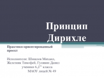 Презентация Практико-ориентированный проект Принцип Дирихле