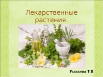 Лекарственные травы