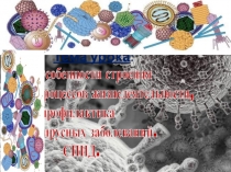 Урок по биологии Вирусы