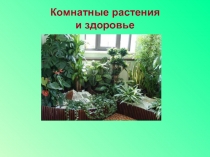 Презентация для урока технологии Комнатные растения и здоровье (7 класс)