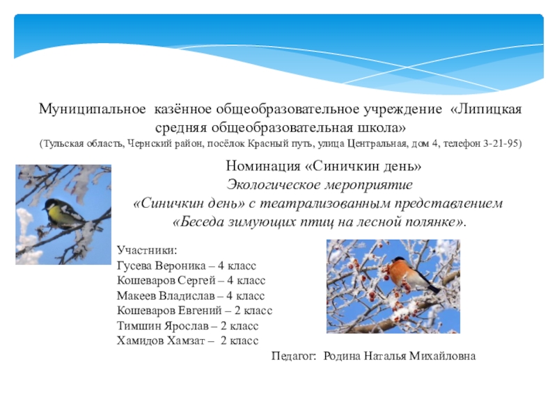 Презентация Презентация Помоги птицам зимой