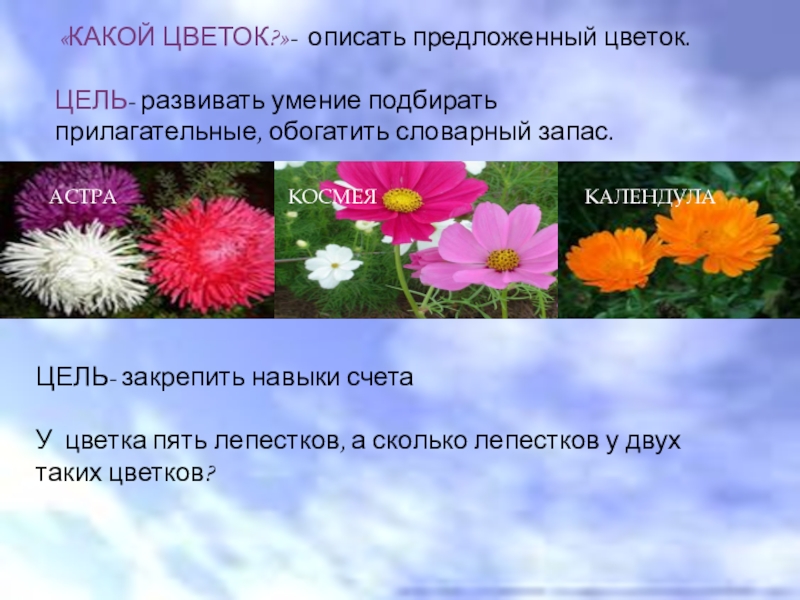 Цель растения. Цель цветы. Игра что есть у цветка цель. Сообщение об осеннем цветке космея. Цветы характеризующие смерть.