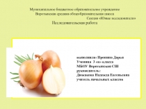 Презентация исследовательской работы лук от семи недуг