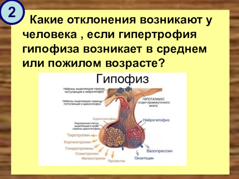 Презентация на тему заболевания гипофиза