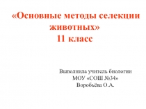 Презентация по биологии на тему Селекция животных 11 класс
