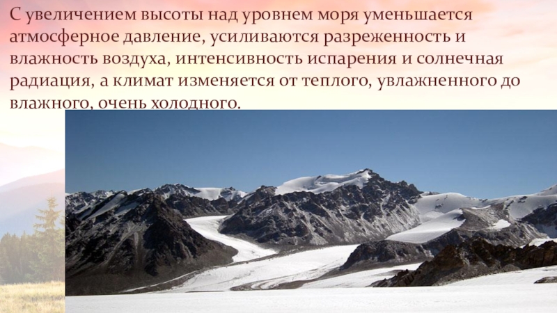 Петропавловск высота над уровнем моря